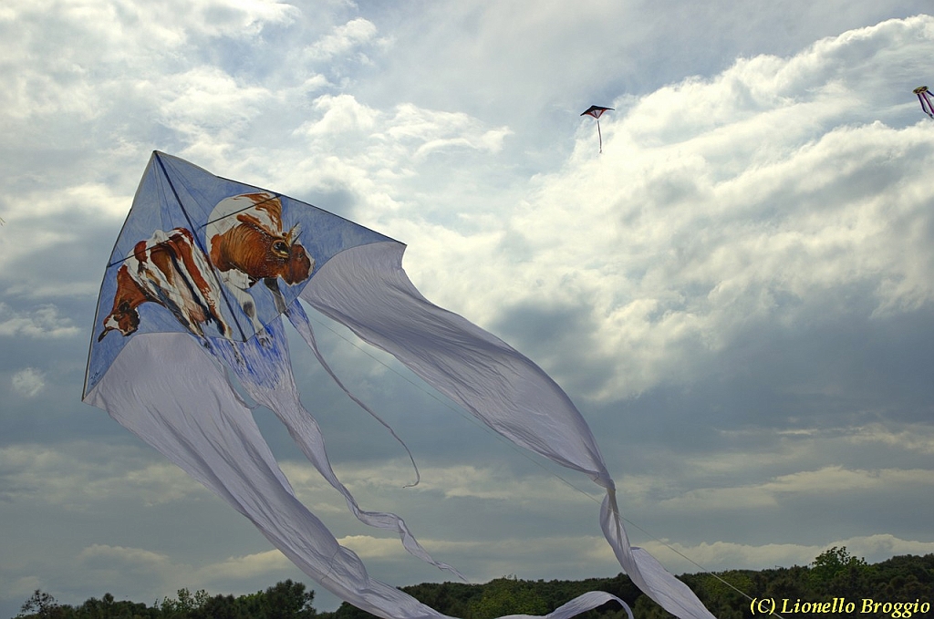 32 FESTIVAL CERVIA 2012 - 270.jpg